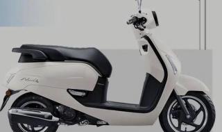 新大洲本田摩托报价