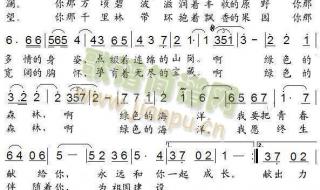 森林狂想曲五线谱 森林狂想曲五线谱