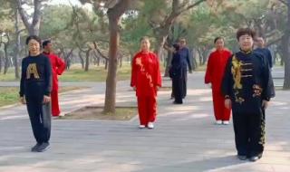 陈式心意混元太极拳 陈式心意混元太极拳