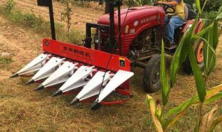 玉米割晒机 玉米割晒机