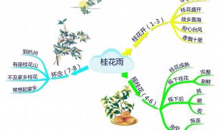 五年级上册语文 五年级上册语文