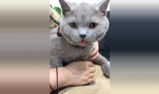 如何杀入禁魔监狱