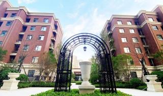 永恒之塔使命任务 永恒之塔使命任务